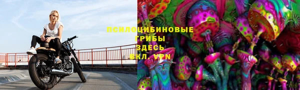 спайс Аркадак