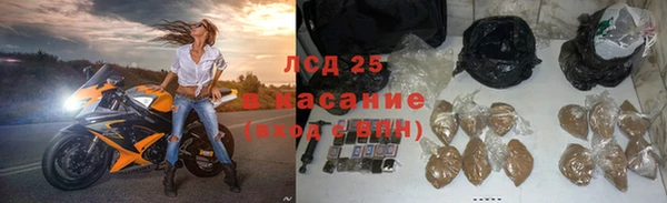 спайс Аркадак