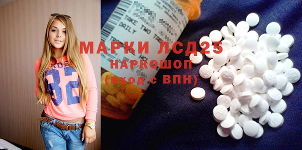 спайс Аркадак
