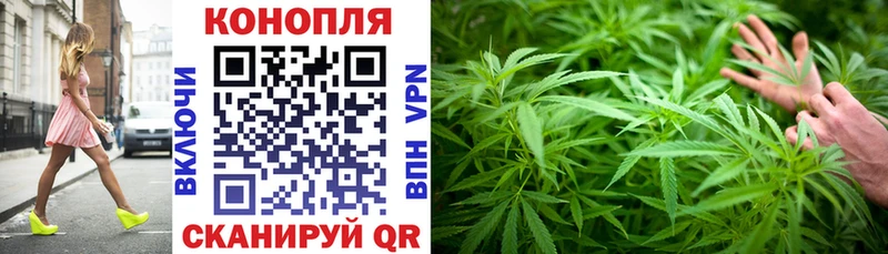 Купить  Апатиты  Бошки марихуана THC 21% 